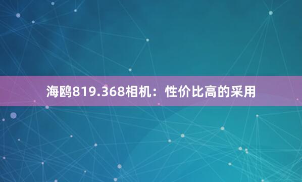 海鸥819.368相机：性价比高的采用